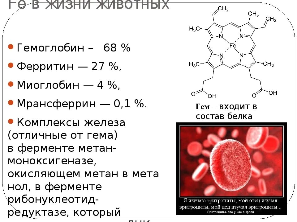 Гемоглобин формула химическая. Химическое строение гемоглобина а1. Структура гемоглобина формула. Формула гемоглобина крови.