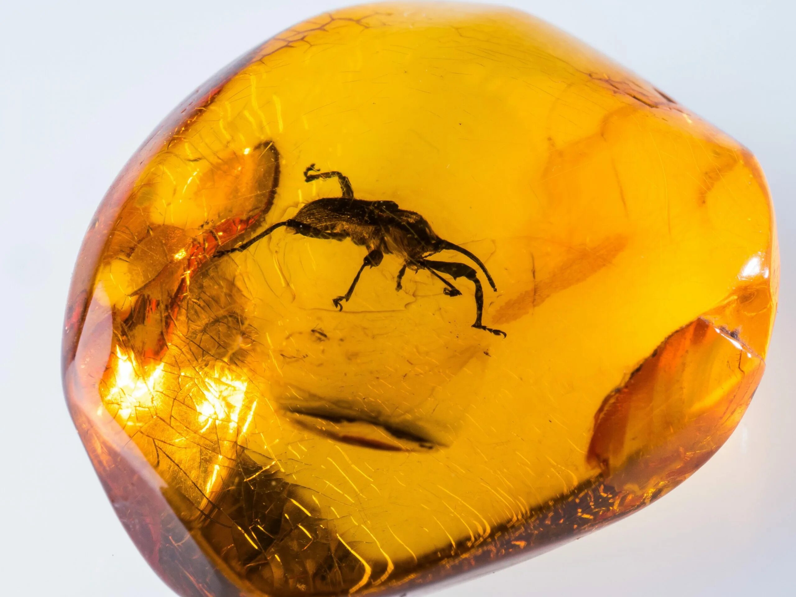Янтарь инклюз с насекомыми. Затвердевшая смола. Янтарь из эпоксидной смолы. Камень камень янтарь. Янтарь янтарь камень.