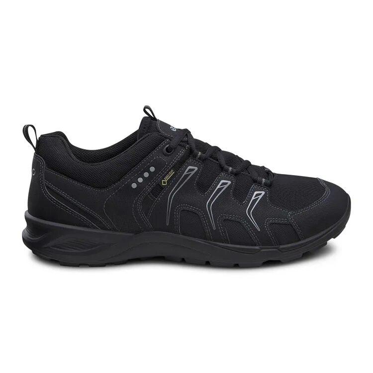 Кроссовки ecco Gore-Tex черные. Ecco Gore Tex мужские кроссовки. Кроссовки мужские ecco Terracruise lt m Black. Кроссовки ecco Gore-Tex Surround. Кроссовки ecco отзывы