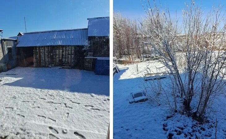 Снег фото. Первый снег. Снег сегодня. Снег в мае. 1 мая выпал снег