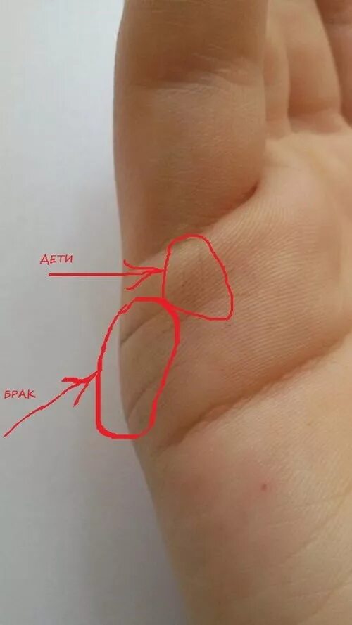 Линии на ладони. Хиромантия линия детей. Коррекционная хиромантия линия брака. Хиромантия линия брака и детей. Линии детей на руке фото с расшифровкой.