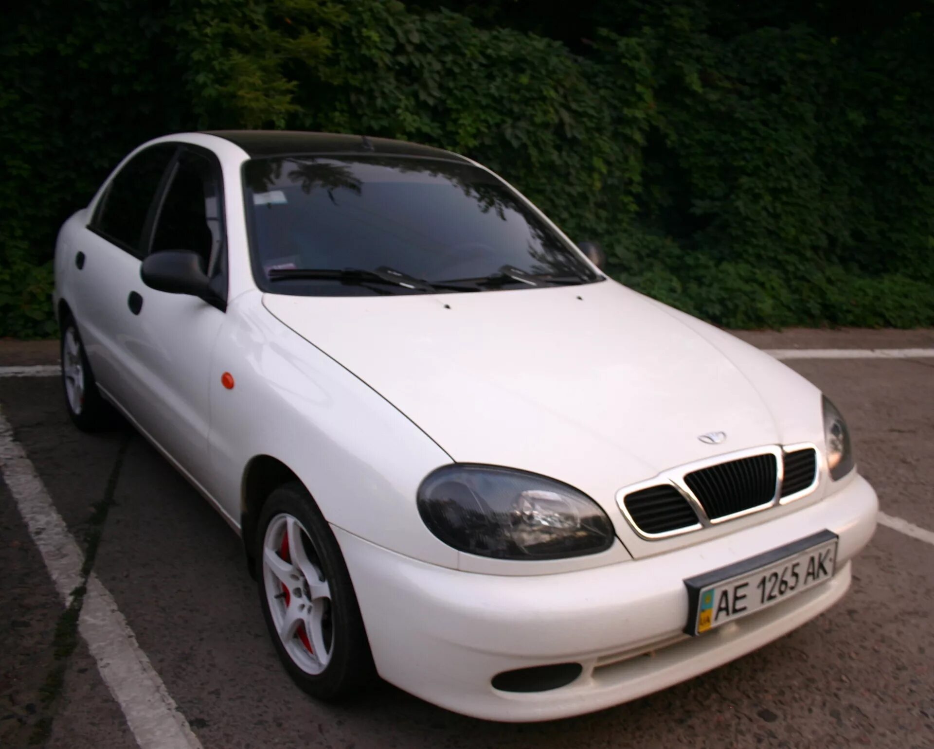 Купить шевроле ланос нова. Chevrolet lanos белый. Машина Дэу Ланос. Daewoo lanos Avante 11. Дэу Ланос белый.