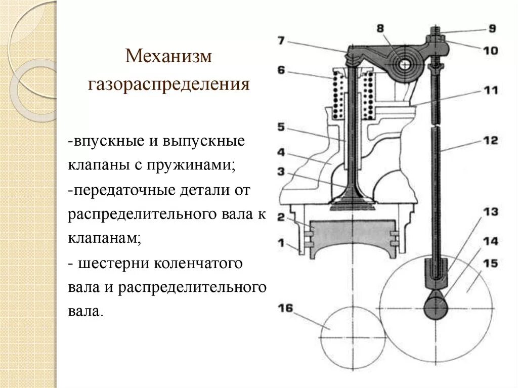 Клапан впускной газораспределительный д 240 размер. Впускной и выпускной клапан газораспределительного механизма. Схема механизма газораспределения. Приводы клапанов механизмов газораспределения. Впускной и выпускной клапан отличия