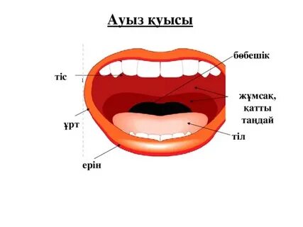 Ауыз алу
