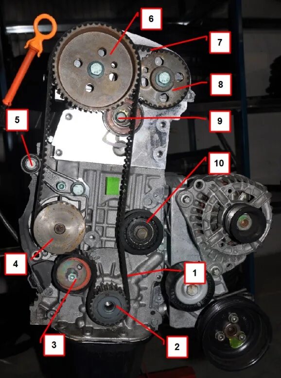 Метки 1.12 2. Метки ГРМ Volkswagen Golf 1 и 4. ГРМ Фольксваген гольф 4 1.4 16 v. ГРМ Фольксваген гольф 4 1.4. Метки ГРМ Фольксваген гольф 4 1.4 16v.