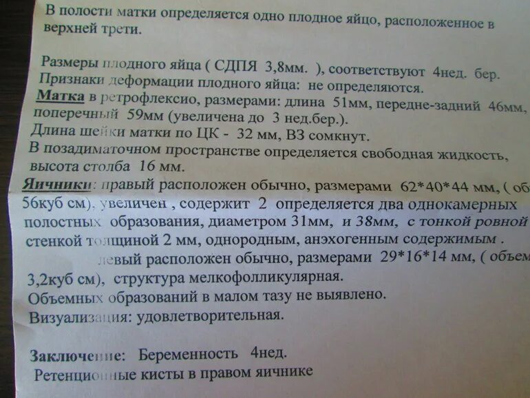 Полость матки 10. Плодное яйцо Размеры. Плодное яйцо диаметром 6 мм. В полости матки определяется плод.