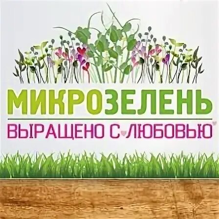 Группа зелень