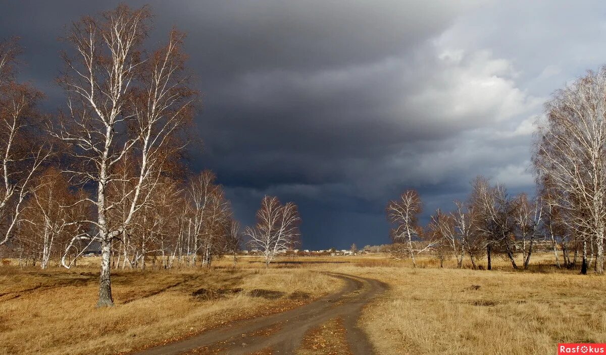 Стояла глубокая осень по небу. Ноябрь на дворе. Стояла глубокая осень по небу. Пушкин осень уж небо осенью дышало. Осенний туман.