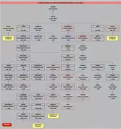 Сулейман древо. Родословная Султана Сулеймана. Династия Султана Сулеймана Древо. Династия Султана Сулеймана Древо семьи. Генеалогическое Древо Султана Сулеймана великолепного.