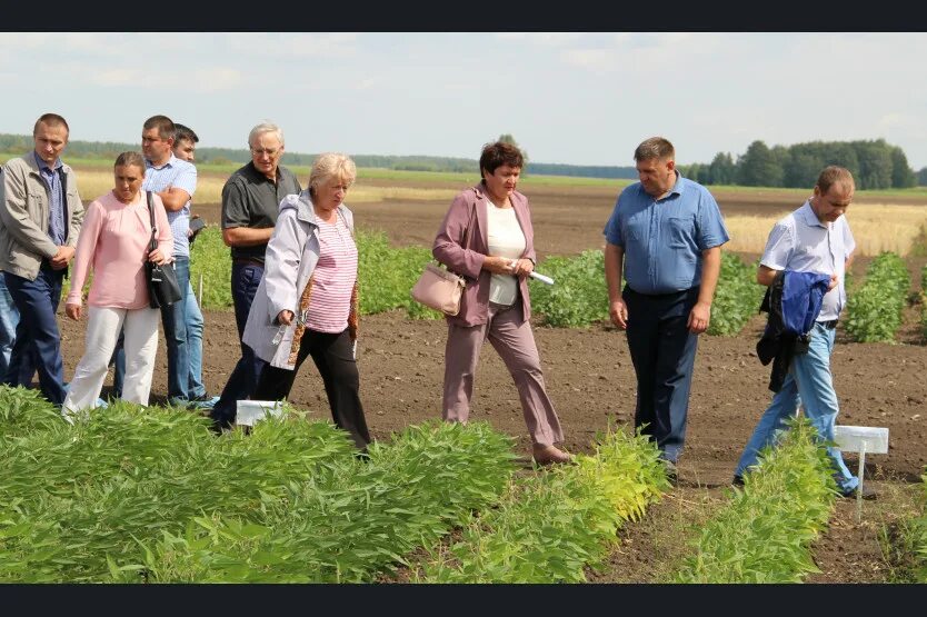 Уборка пшеницы в белоглинском районе. Погода в селекционном. Погода в селекционном. Погода в селекционном. Меклета.