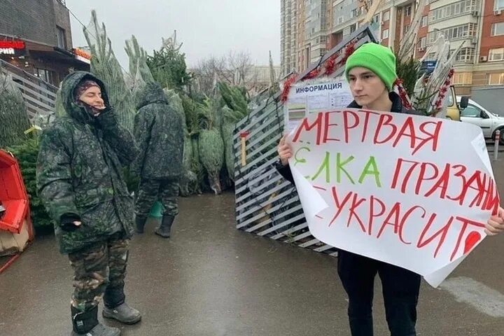 Активистка против вырубки леса. Против вырубки елок. плакат против вырубки елок. партия зеленых москва.