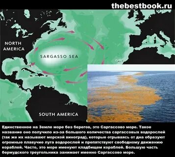 Саргассово море самое большое в мировом океане