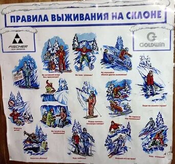 Правила выживания