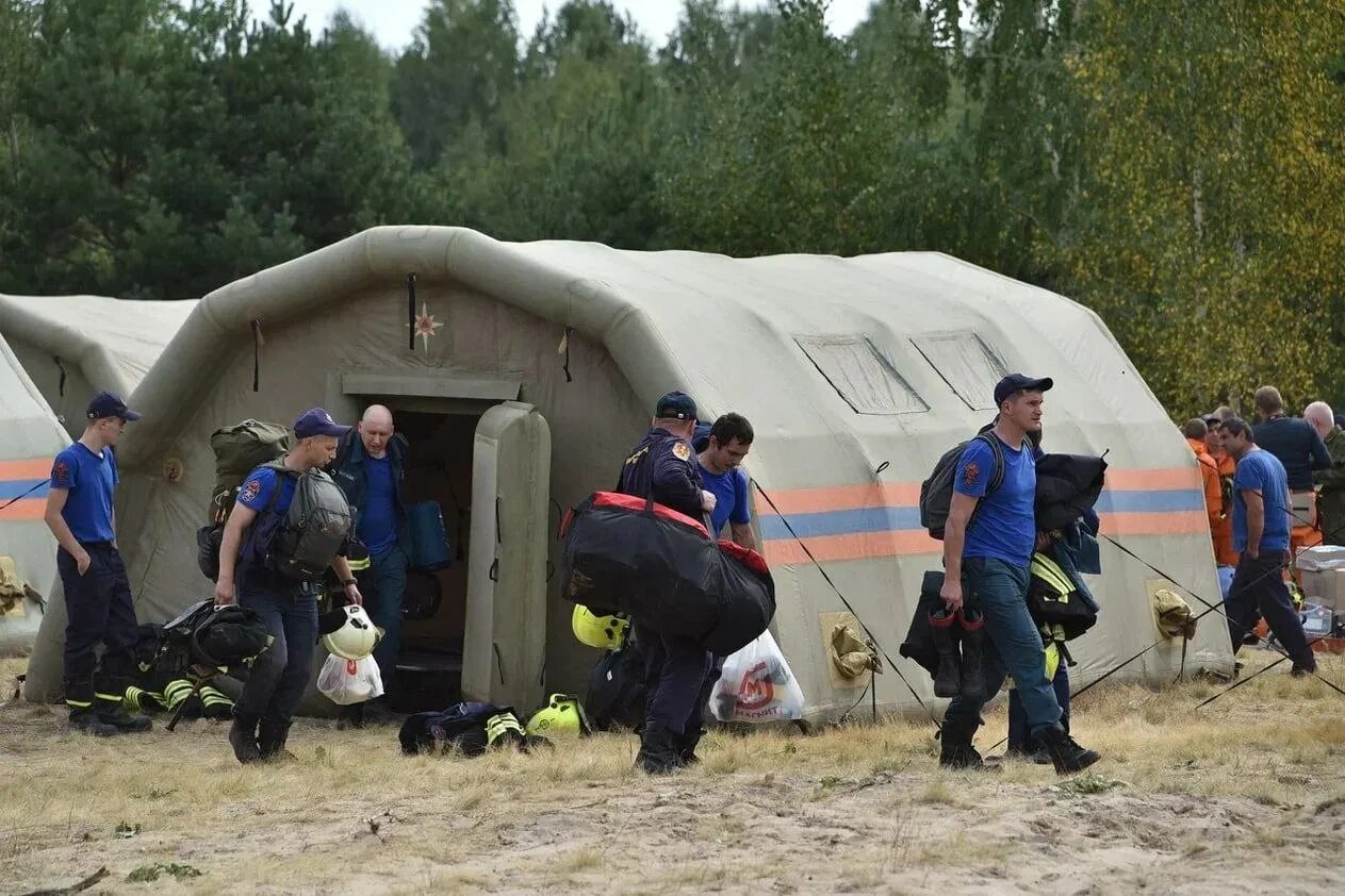 Новости про новое. Пожары в Рязанской области сейчас. МЧС В Рязанской области сейчас. Лесные пожары в Рязанской области 2022.