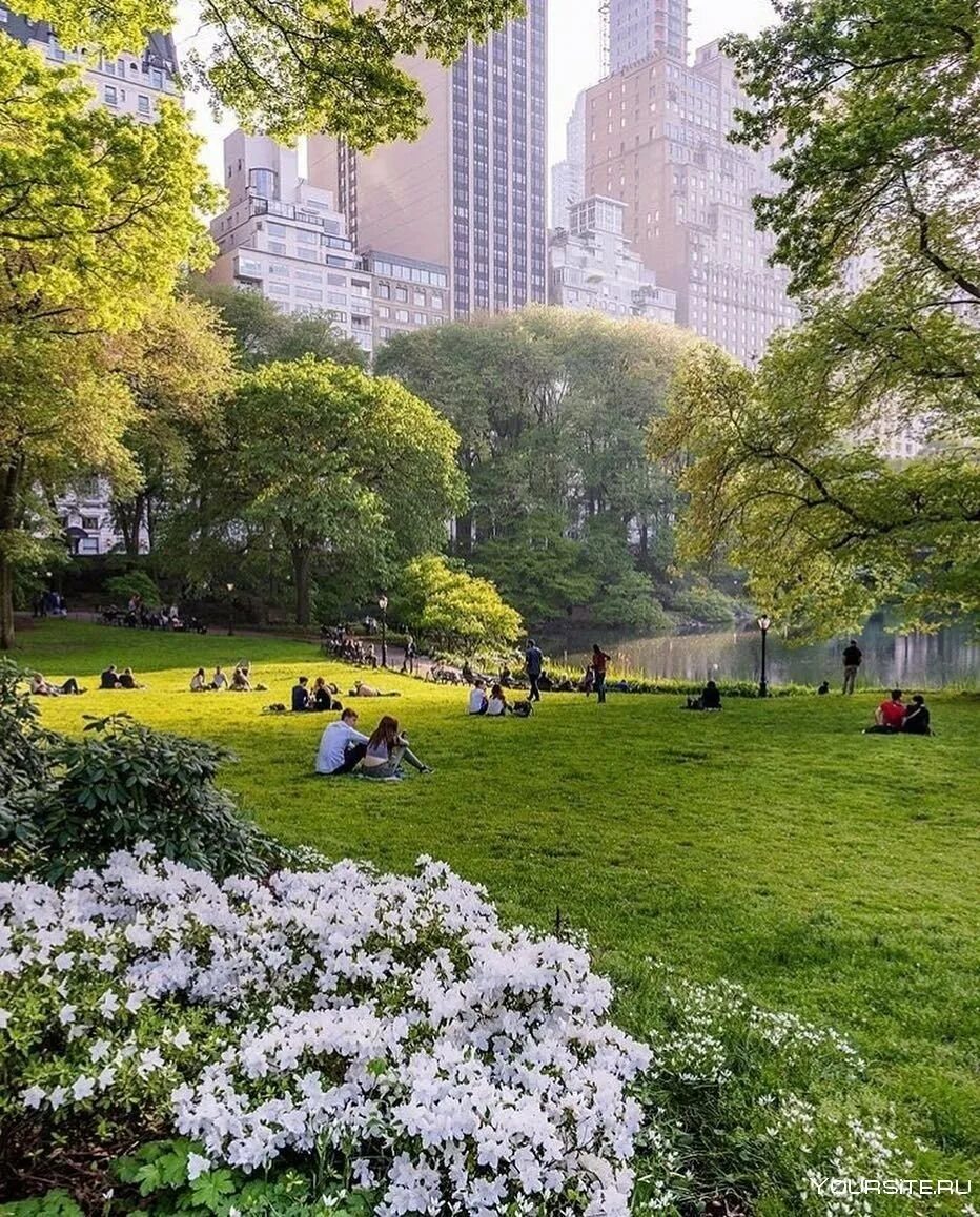 Чикаго иллинойс озеро мичиган. Ной ульм германия. Осенний нью-йорк централ парк. Центральный парк (г. Центральный парк (г.