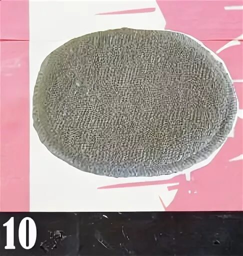 Konjac sponge. Итальянский натуральный спонж с хлопковой губкой. Спонж конняку картинка в высоком качестве. Итальянский натуральный спонж. Мочалка для умывания лица.