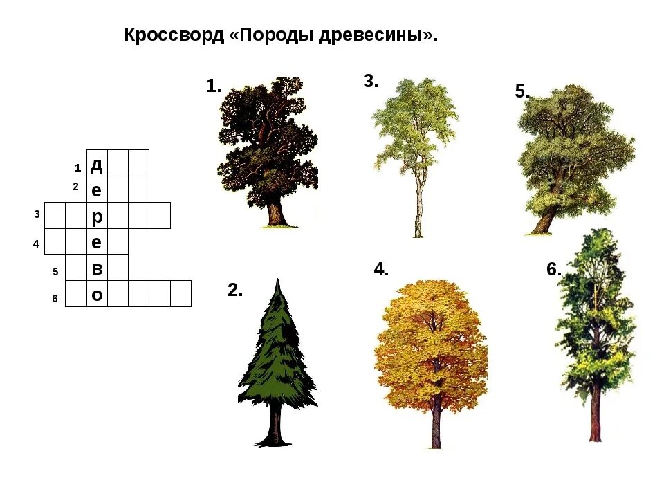 Деревья задания. Задания для детей на тему деревья. Деревья задания для дошкольников. Лиственные деревья задания.