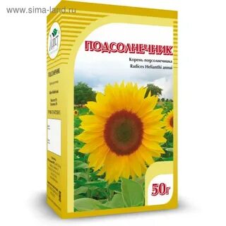 Настой подсолнуха