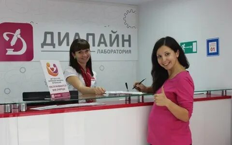 Диалайн михайловка