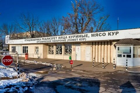 Новомышастовская птицефабрика
