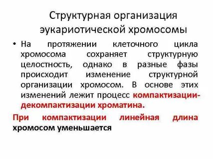 Уровни структурной организации хромосом