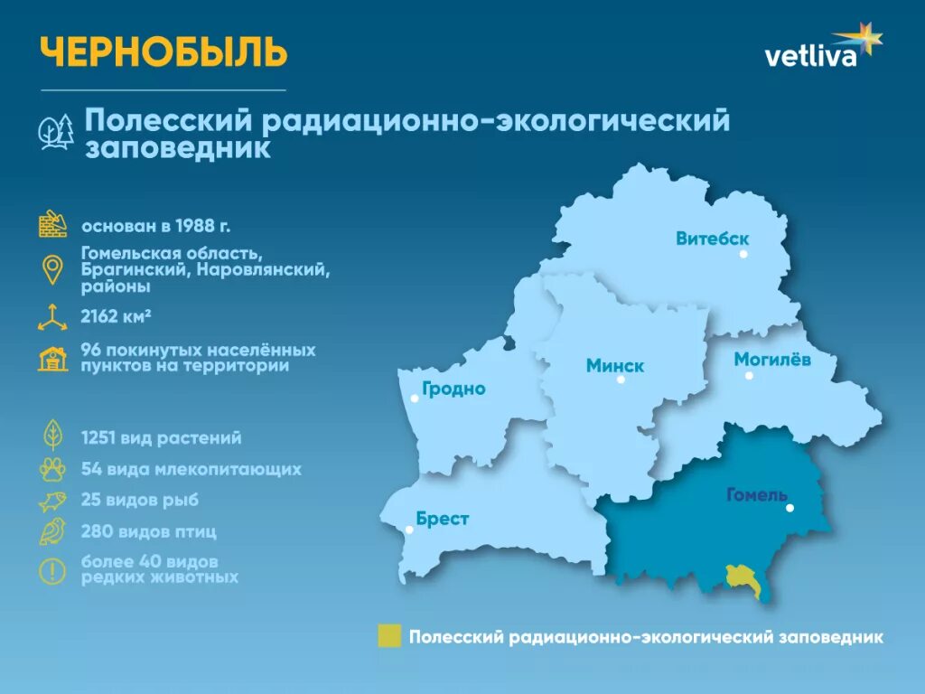 Полесский радиационно-экологический заповедник карта. Полесский радиационный заповедник на карте. Карта Полесского радиационного заповедника. Территория Чернобыльского заповедника. Радиационной экологии гомель