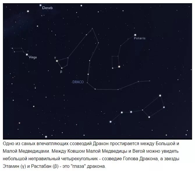 Созвездия северного полушария летом. Созвездия цефей и дракон. Созвездия которые видно летом. Метеорный поток южные дельта-аквариды. Летне осенние созвездия.
