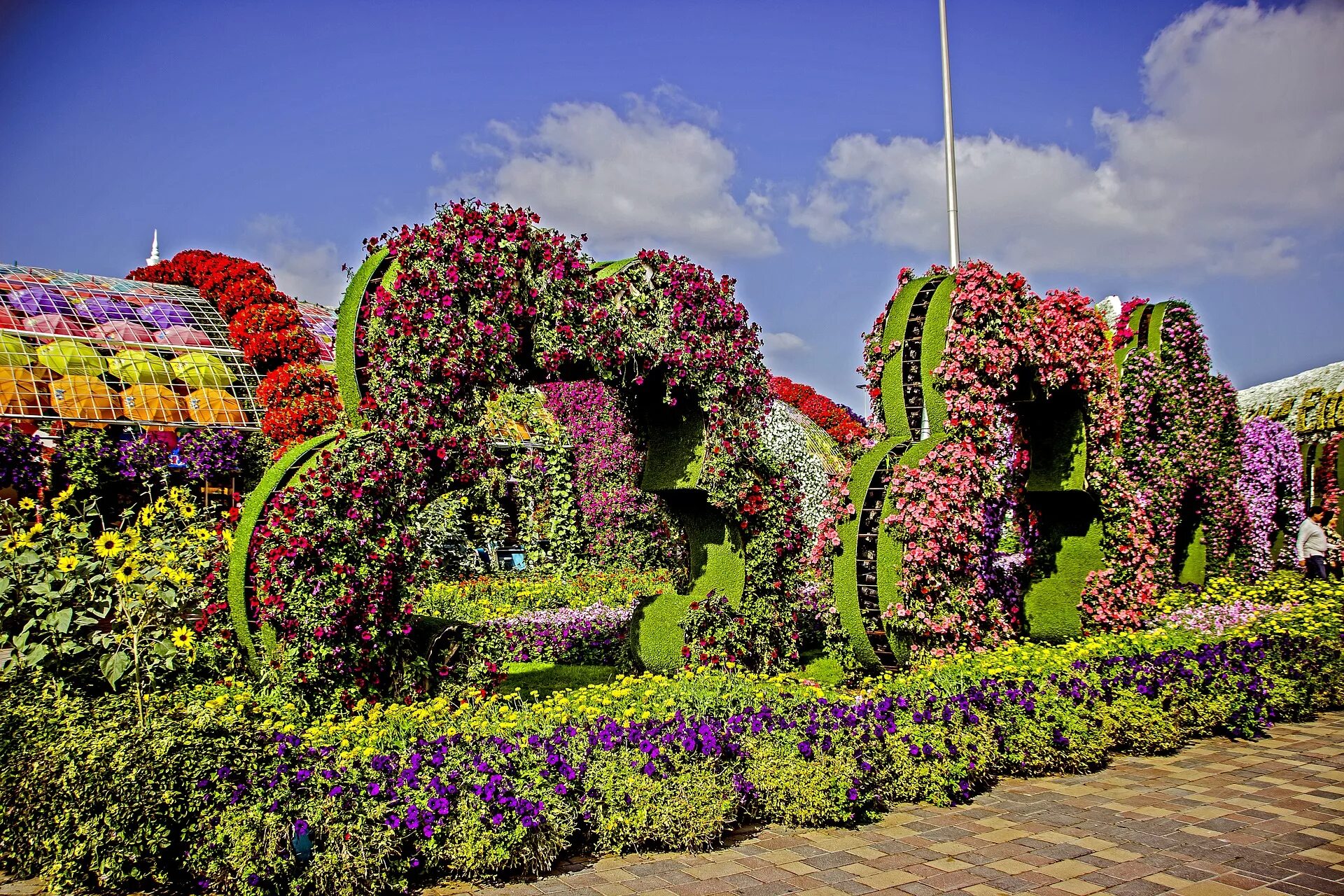 Сад цветов miracle garden дубай. Дубайский парк "сад чудес" (miracle garden). Miracle garden дубай. Сад чудес в дубае. Парк цветов miracle garden (оаэ, дубаи).