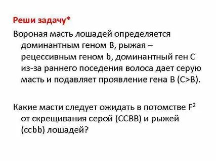 У лошадей действие генов вороной