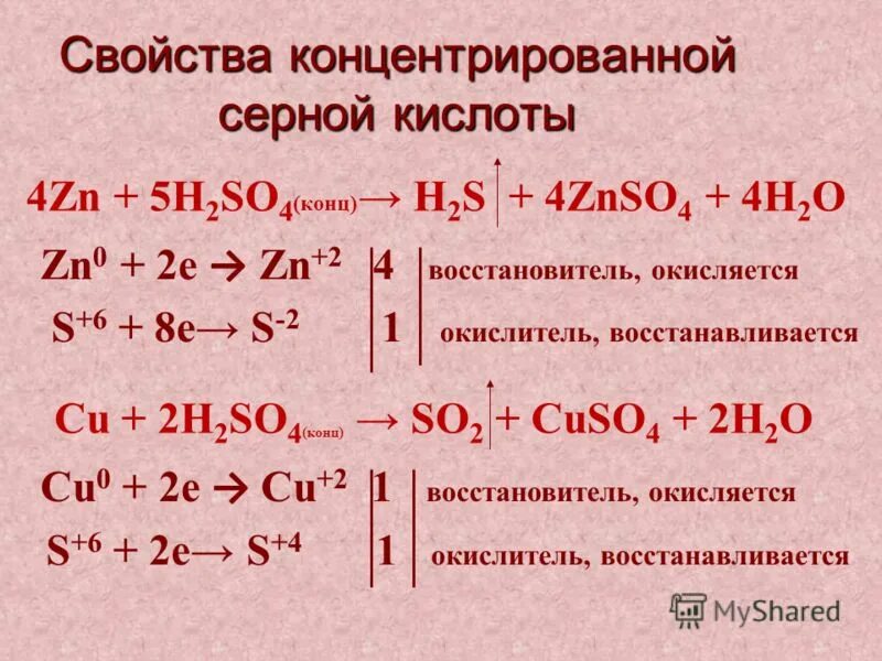 Характеристика концентратов