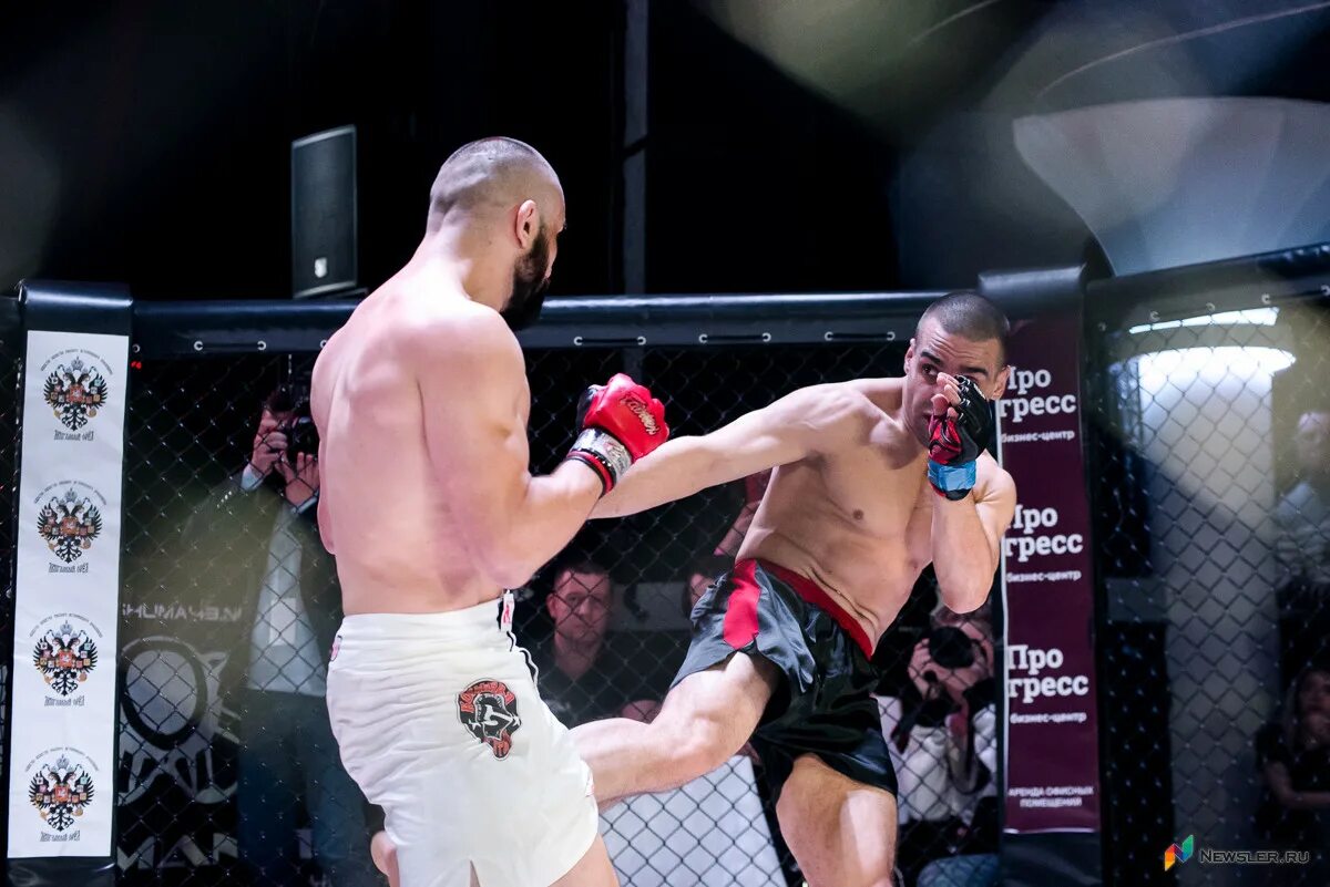 какие бои прошли сегодня. какие бои прошли сегодня. брайан ортега корейский зомби. какие бои прошли сегодня. китайские фильмы про мма с 2010 года.