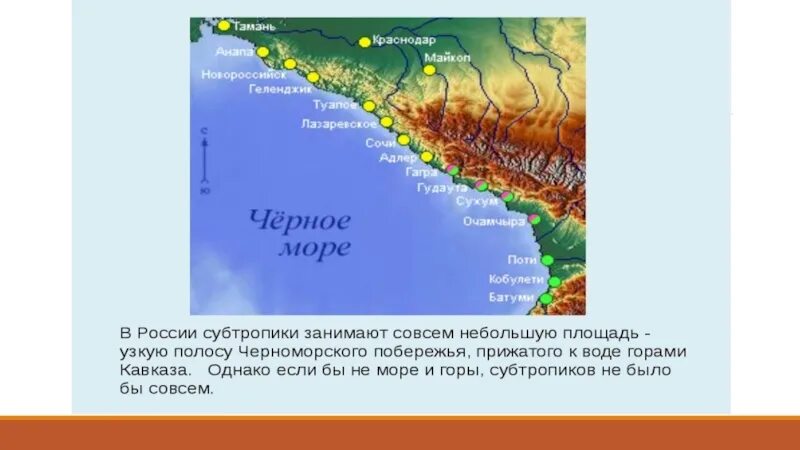 Субтропики расположение. Субтропики Черноморского побережья. Субтропики на карте России. Где находятся субтропики на карте. Субтропики России презентация.