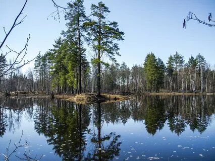 Озеро светлое нижегородская область