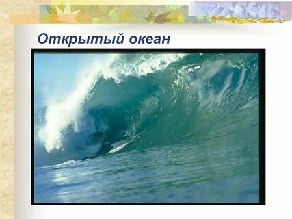 Презентация океан