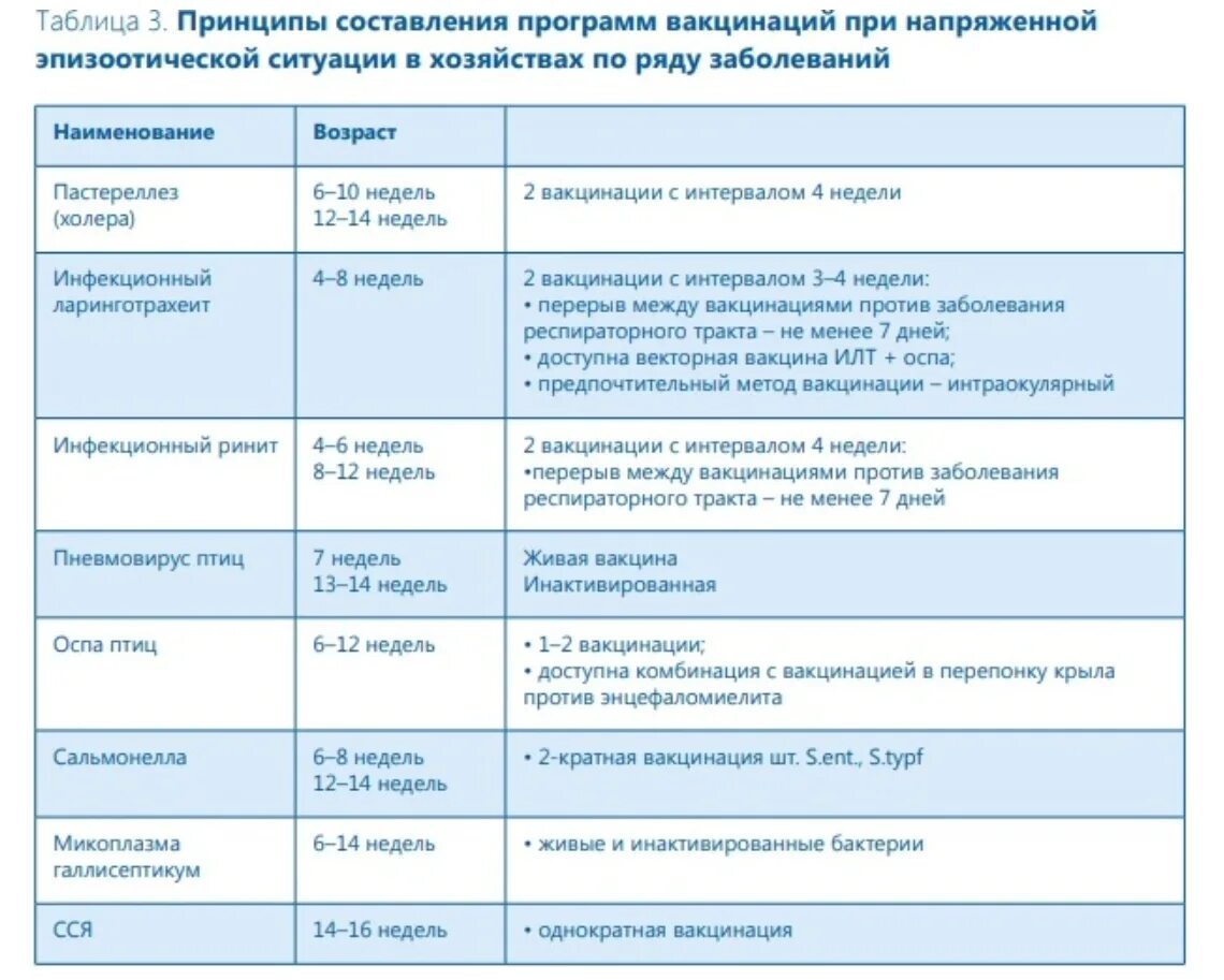 Куры после антибиотиков. Схема вакцинации бройлеров в домашних условиях. Схема вакцинации кур. Вакцинация бройлеров схема. Схема вакцинации для птицы бройлеров.