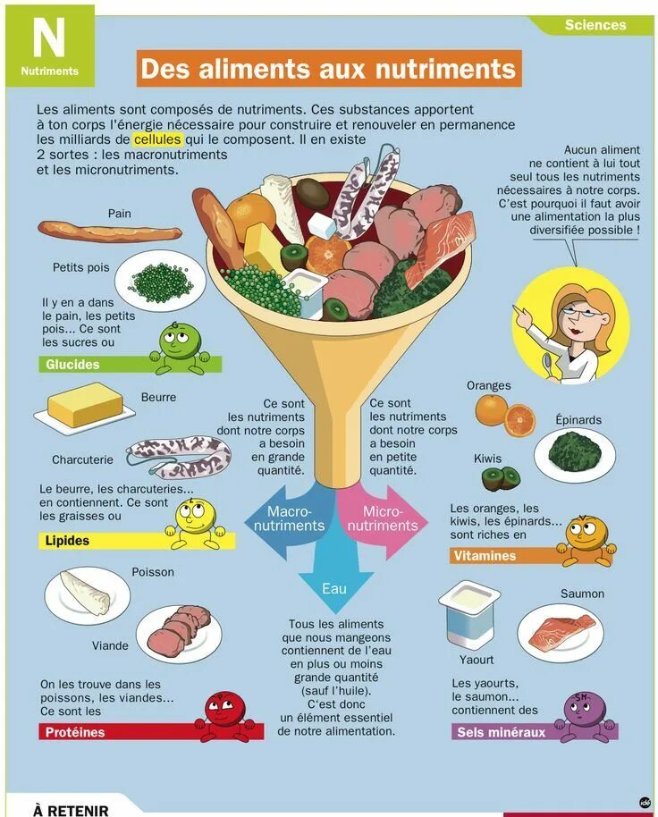 Corps est. Инфографика питание. Здоровое питание инфографика. Инфографика по еде Франции. Glucide.