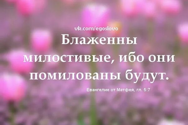 5:7. Блаженны милостивые ибо они помилованы будут. Будьте милостивы и помилованы будете. С картинками. Блаженны милостивые ибо они помилованы.