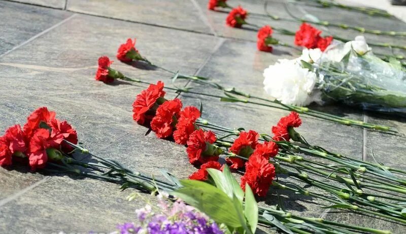 Вечный огонь невьянск. Освобождение от немецко фашистских захватчиков рисунок. Памяти павшим в великой отечественной войне. Павшим посвящается. Вечный огонь самара сообщение.