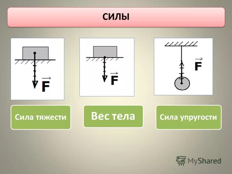 изображение силы тяжести и веса на рисунке. изображение силы тяжести и веса тела. чертеж веса тела физика. сила тяжести изображение силы. изображение силы тяжести и веса на рисунке.