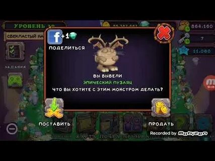 Как вывести редкого пузайца