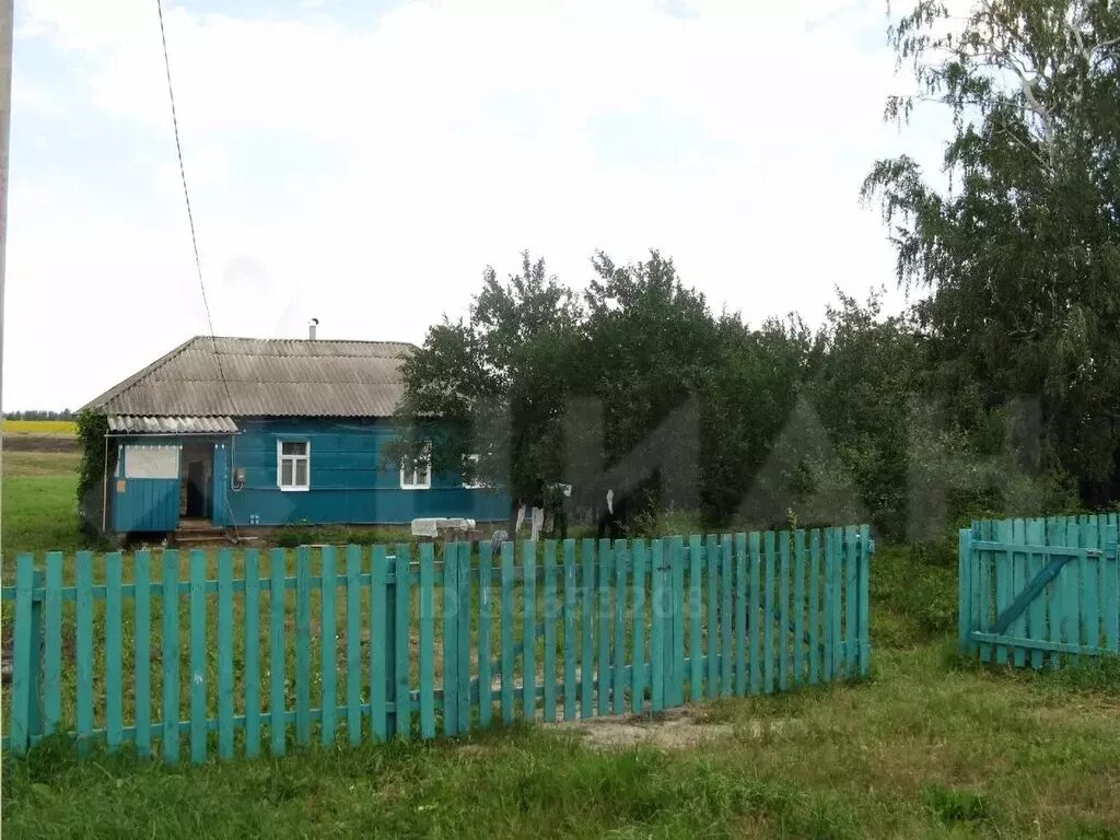 Нижняя грайворонка курский. Нижняя грайворонка курская область. Нижняя грайворонка курская область. Нижняя грайворонка курская область. Храм село липовчик курская область.