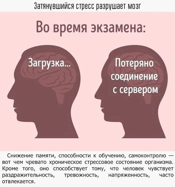 Воздействие стресса на мозг. Интересные факты о мозге. Влияние стресса на мозг человека. Как стресс влияет на мозг.