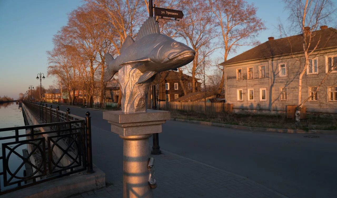 Белозерск вологодская область ладья. Белозерский судак памятник. Белозерск рыба. Памятник судаку в белозерске. Белозерск рыба.