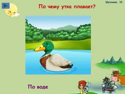 Почему утка плавает