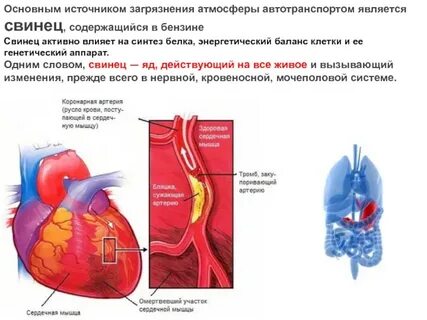 В бензин добавляли свинец