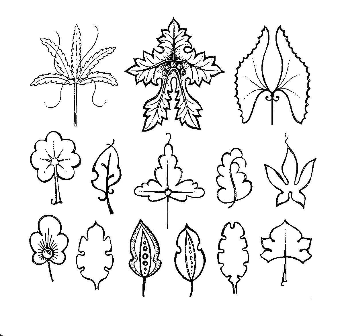 Форма листьев лилии. Стилизованные растения. Стилизованные листья деревьев. Трафареты листочков и цветочков. Стилизованные листья в цвете.