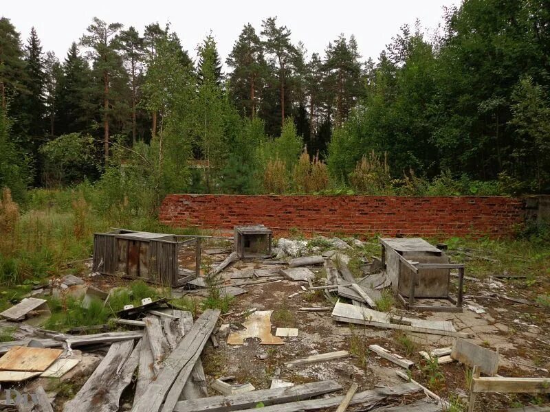 Дол в луге. Заброшенный лагерь атмосфера город Луга. Пионерский лагерь атмосфера Луга. Заброшенные лагеря в Лужском районе. Заброшенный лагерь темп Луга.