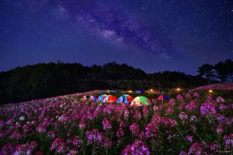 Ночь лето красивые