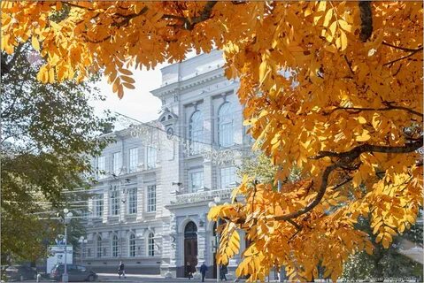 Вузы осенью
