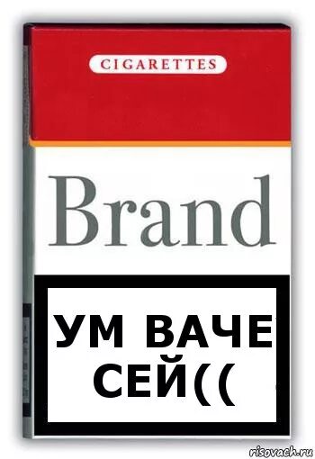 Ум ваче сей. Ум ваче сей попугай. Умвачесей мем. Ум вачесей мем. Ум вачесей попугай.